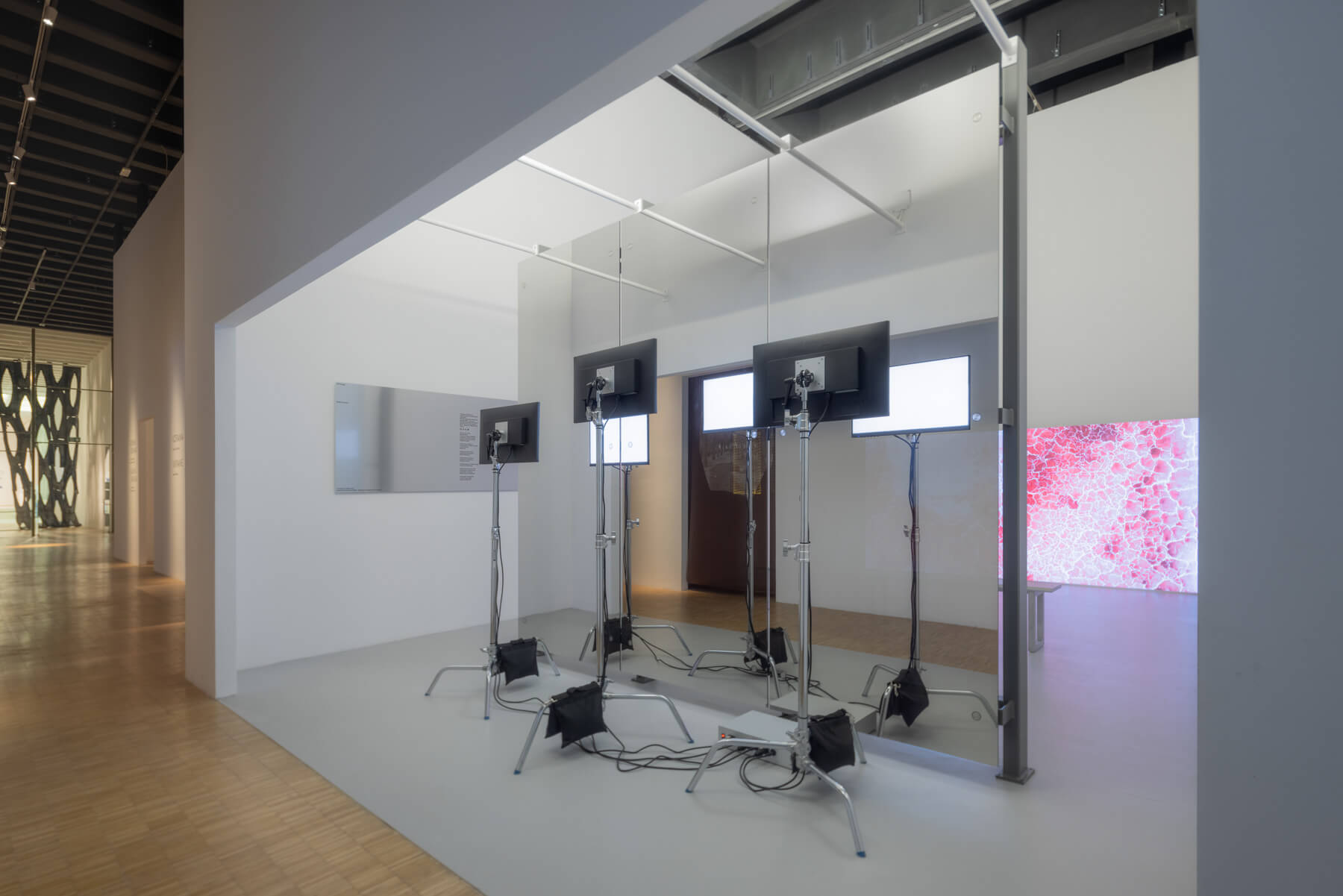 lSoft Image, Brittle Grounds